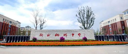 衡水桃城中学,个别教师惩戒失当