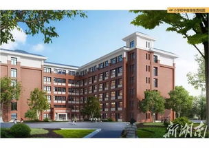 家长必看 2020年张家界中心城区中小学学区最新划分,你家孩子在哪上学