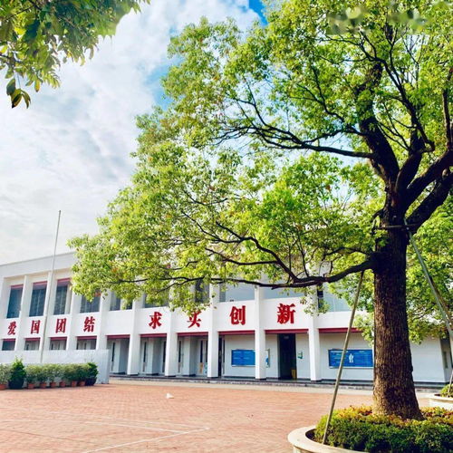 当省实顺德学子遇到 凡尔赛文学 ,会擦出怎样的火花