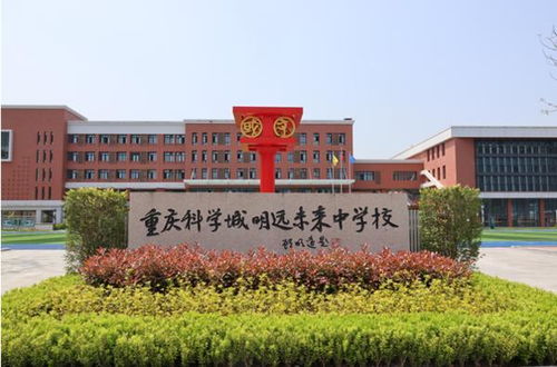 从学前普惠到高中 登峰 重庆高新区绘就教育全新 生态图