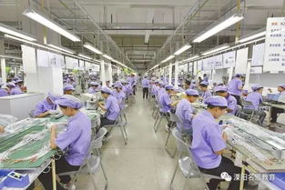 那些初中就辍学的孩子,现在都在干什么