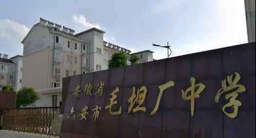 冰火两重天 毛坦厂中学排起了队 清华北大打爆他们的电话