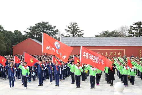 亮点 精致 精彩 精品 杭州路中学2019年工作十大亮点