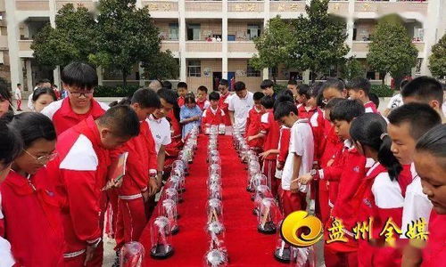 这些伪装成食品和药品的东西其实是......