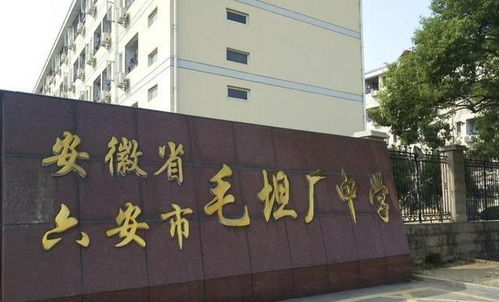 校外补课班逐渐减少,补课新方式来袭,家长能接受吗