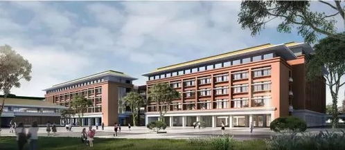 广雅中学花都校区周边将建三条路 预计明年6月完工