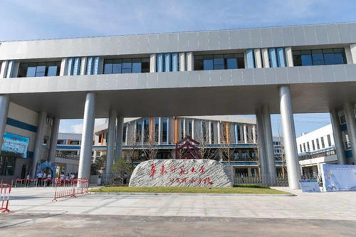 多图直击 丽水市各中小学昨起开学
