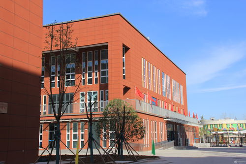 精益求精办精品教育 成就师生诗意幸福人生——南阳市十一全高级中学与云镇中学的教育实践