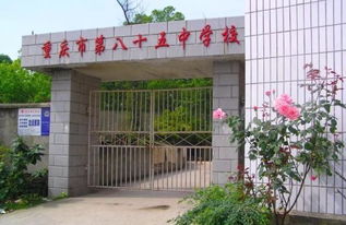 长江边的老厂魅力 褪去辉煌，归于宁静