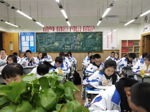 凌晨一点的泪水 高中生课业重压下的一次崩溃