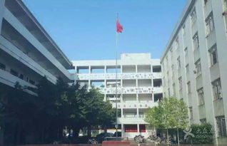 惠州市第九中学学习与培训掠影 数字化与乡村教育的结合