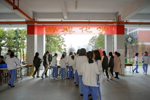 石龙中学第25届科技艺术节精彩连连 云镇中学共襄盛举